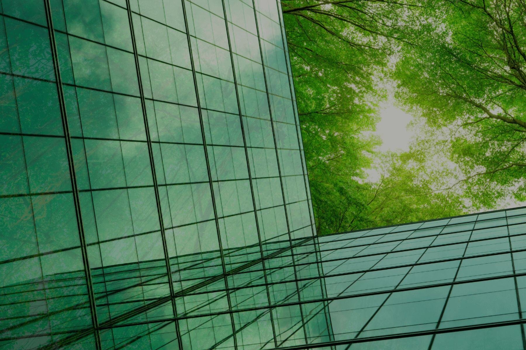 Webinaari - kaksoisolennaisuuden arviointi