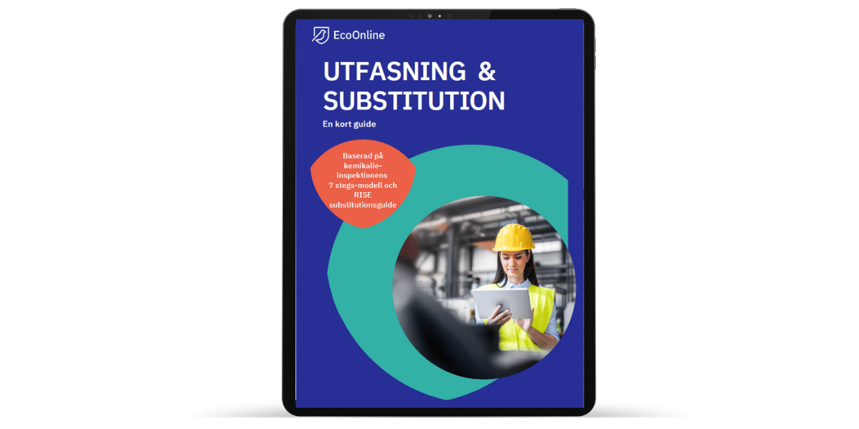 SE _ Image_Guide_Substitution