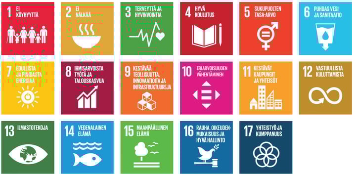 kestävän kehityksen teemat